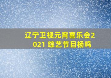 辽宁卫视元宵喜乐会2021 综艺节目杨鸣